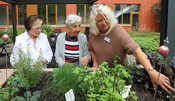 Barrierefreie Hochbeete im Garten des Altenzentrums Karl Flor
